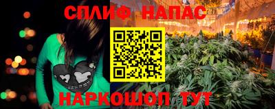apvp Бийск