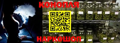 apvp Бийск