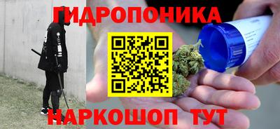 apvp Бийск