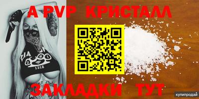 apvp Бийск
