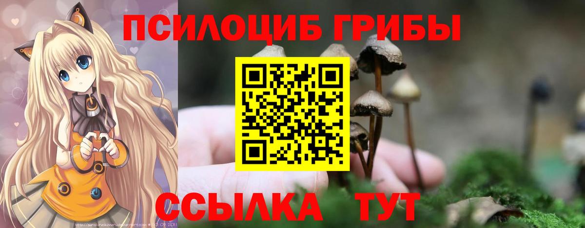 Псилоцибиновые грибы Psilocybine cubensis  Вход с VPN  Зеленокумск 