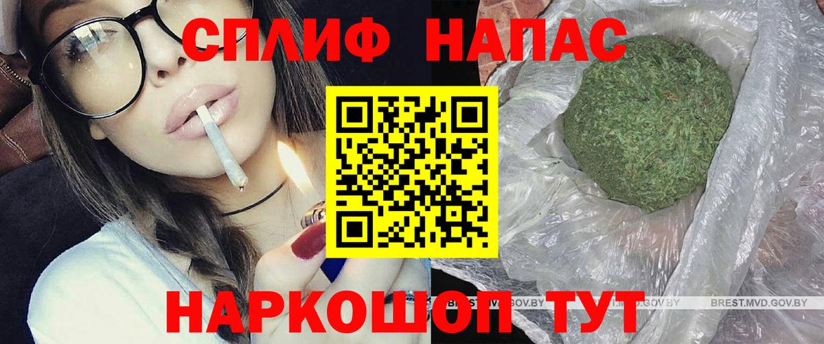 Бошки Шишки семена Зеленокумск